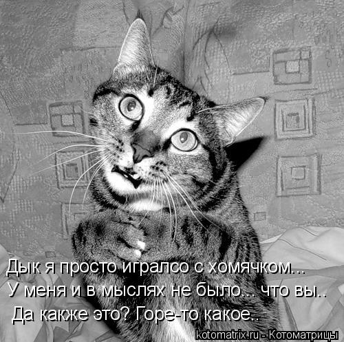 http://www.kotomatrix.ru/images/lolz/2008/05/16/rA.jpg
